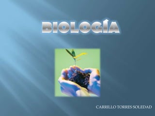 BIOLOGÍA CARRILLO TORRES SOLEDAD 