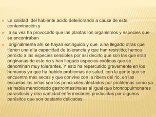  La calidad del habiente acido deteriorando a causa de esta
contaminación y
 a su vez ha provocado que las plantas los organismos y especies que
se encontraban
 originalmente ahí se hayan extinguido y que aina llegado otras que
tienen una alta capacidad de tolerancia y que han resistido; hemos
perdido a las especies sensibles por así decirlo que son las que eran
originarias de este rio y han llegado especies exóticas que se
denominan muy tolerantes. Y esto ha repercutido gravemente en los
humanos ya que ha habido problemas de salud con la gente que se
encuentra más secas y que convive con la ribera del rio, en las
escuelas los niños son los principales afectados por problemas como ya
se había mencionado gastrointestinales al igual que broncopulmonares
parasitosis y otra cantidad enfermedades producidas por algunos
parásitos que son bastante delicadas.
 