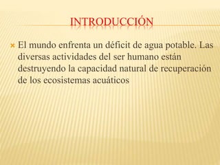 INTRODUCCIÓN
 El mundo enfrenta un déficit de agua potable. Las
diversas actividades del ser humano están
destruyendo la capacidad natural de recuperación
de los ecosistemas acuáticos
 