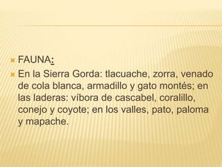  FAUNA:
 En la Sierra Gorda: tlacuache, zorra, venado
de cola blanca, armadillo y gato montés; en
las laderas: víbora de cascabel, coralillo,
conejo y coyote; en los valles, pato, paloma
y mapache.
 