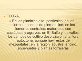  FLORA.
 En las planicies alta: pastizales; en las
sierras; bosques de pino-encino; en los
lomeríos centrales: matorrales con
cactáceas y agraves; en El Bajío y los valles:
los campos de cultivo desplazaron a la flora
autóctona, aunque hay restos de
mezquitales; en la región lacustre: encino,
ahuehuetes y plantas forrajeras
 