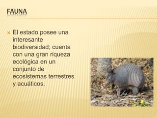 FAUNA
 El estado posee una
interesante
biodiversidad; cuenta
con una gran riqueza
ecológica en un
conjunto de
ecosistemas terrestres
y acuáticos.
 