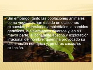  Sin embargo, tanto las poblaciones animales
como vegetales han estado en ocasiones
expuestas a presiones ambientales, a cambios
genéticos, a aislamientos diversos y, en su
mayor parte, al constante acecho y explotación
irracional del hombre, quien ha provocado su
disminución numérica y, en otros casos, su
extinción.
 