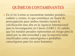 QUÍMICOS CONTAMINANTES
 En el rio Lerma se encuentran metales pesados:
cadmio y cromo, lo que constituye un factor de
preocupación pues ambos metales tienen la
calcificación mas alta en la Agencia Internacional
para la Investigación en Cáncer (IARC). Es sabido
que los metales pesados representan un riesgo para la
salud por su alta toxicidad y que la mayoría están
clasificados como cancerígenos o probables
cancerígenos para los seres humanos.
 