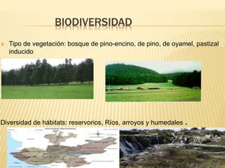 BIODIVERSIDAD
 Tipo de vegetación: bosque de pino-encino, de pino, de oyamel, pastizal
inducido
Diversidad de hábitats: reservorios, Ríos, arroyos y humedales .
 