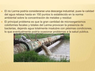  El rio Lerma podría considerarse una descarga industrial, pues la calidad
del agua rebasa hasta en 150 puntos lo establecido en la norma
ambiental sobre la concentración de metales y residuo
 El principal problema es que la gran cantidad de microorganismos
coloformes fecales y totales del Lerma provocan la presencia de
bacterias, dejando agua totalmente insalubre con pésimas condiciones,
lo que eventualmente podría ocasionar problemas a la salud pública.
 