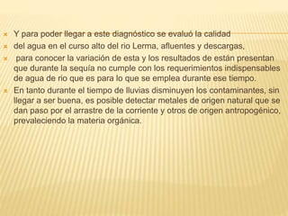  Y para poder llegar a este diagnóstico se evaluó la calidad
 del agua en el curso alto del rio Lerma, afluentes y descargas,
 para conocer la variación de esta y los resultados de están presentan
que durante la sequía no cumple con los requerimientos indispensables
de agua de rio que es para lo que se emplea durante ese tiempo.
 En tanto durante el tiempo de lluvias disminuyen los contaminantes, sin
llegar a ser buena, es posible detectar metales de origen natural que se
dan paso por el arrastre de la corriente y otros de origen antropogénico,
prevaleciendo la materia orgánica.
 