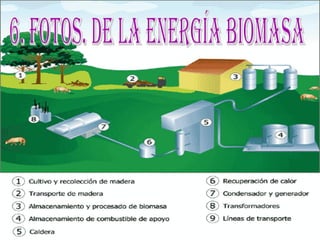 6. fotos. De la energía biomasa 