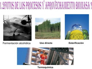 Fermentación alcohólica  Uso directo Esterificación Termoquímica 1.2fotos de los procesos y aprovechamiento Biomasa ? 