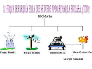 3.1Forma de energía en la que se puede aprovechar la biomasa ¿como? Energía mecánica 