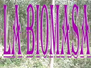 la Biomasa  