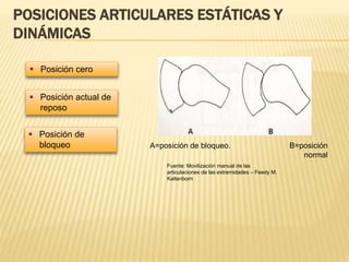 POSICIONES ARTICULARES ESTÁTICAS Y 
DINÁMICAS 
 Posición cero 
 Posición actual de 
reposo 
 Posición de 
bloqueo 
A=posición de bloqueo. B=posición 
normal 
Fuente: Movilización manual de las 
articulaciones de las extremidades – Feedy M. 
Kaltenborn 
 