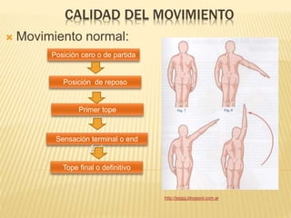 CALIDAD DEL MOVIMIENTO 
 Movimiento normal: 
Posición cero o de partida 
Primer tope 
Sensación terminal o end 
feel 
Tope final o definitivo 
http://jejgjg.blogspot.com.ar 
Posición de reposo 
