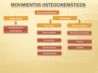 MOVIMIENTOS OSTEOCINEMÁTICOS 
Macromovimientos 
TRASLACIÓN ROTACIÓN 
Giro (spin) Balanceo (Swing) 
Plano horizontal Movimiento pendulares 
Eje mecánico 
Rotación Interna 
Rotación Externa 
Flex-Ext 
Abd-Add 
Combinación de 
movimientos 
 