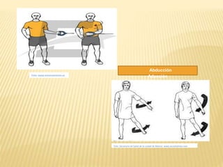Foto: www.entrenamiento.es 
Abducción 
Aducción 
Foto: Secretaria de Salud de la ciudad de México. www.secsaludmex.mex 
 