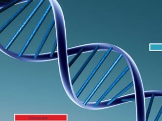  Muchas gracias por vuestra atención
Gracias por …
 