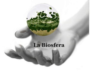 La Biosfera
 