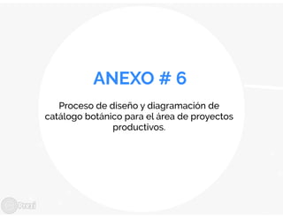 Presentación bitacora eps diego vielman