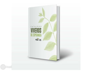 Presentación bitacora eps diego vielman