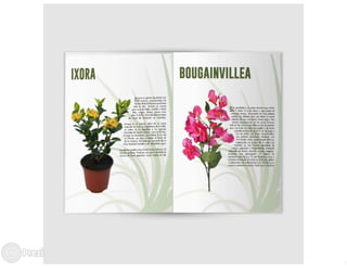 Presentación bitacora eps diego vielman