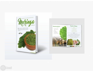 Presentación bitacora eps diego vielman