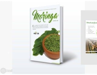 Presentación bitacora eps diego vielman