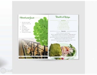 Presentación bitacora eps diego vielman