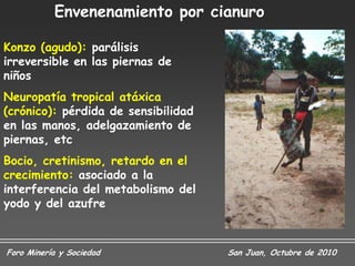 Envenenamiento por cianuro

Konzo (agudo): parálisis
irreversible en las piernas de
niños
Neuropatía tropical atáxica
(crónico): pérdida de sensibilidad
en las manos, adelgazamiento de
piernas, etc
Bocio, cretinismo, retardo en el
crecimiento: asociado a la
interferencia del metabolismo del
yodo y del azufre



Foro Minería y Sociedad              San Juan, Octubre de 2010
 