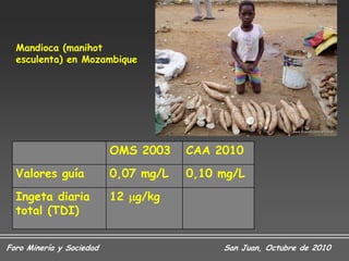 Mandioca (manihot
  esculenta) en Mozambique




                          OMS 2003    CAA 2010
  Valores guía            0,07 mg/L   0,10 mg/L
  Ingeta diaria           12 g/kg
  total (TDI)


Foro Minería y Sociedad                    San Juan, Octubre de 2010
 