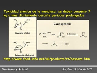 Toxicidad crónica de la mandioca: se deben consumir 7
 kg o más diariamente durante períodos prolongados




 http://www.food-info.net/uk/products/rt/cassava.htm


Foro Minería y Sociedad             San Juan, Octubre de 2010
 
