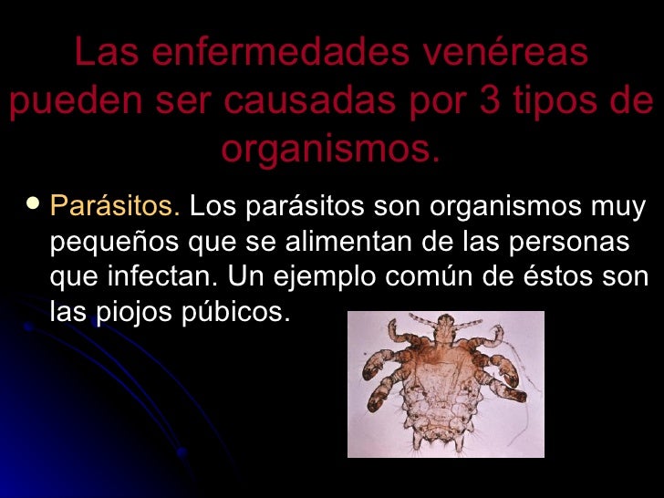 Que indicios en el hígado si los parásitos