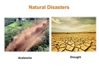 Natural Disasters
Avalanche Drought
 