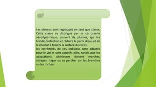Les oiseaux sont regroupés en tant que classe,
Cette classe se distingue par sa carrosserie
aérodynamique, couvert de plumes, qui les
brindé protection et réduire la perte d'eau et de
la chaleur à travers la surface du corps.
les extrémités de ces individus sont adaptés
pour le vol et sont appelés ailes, tandis que les
adaptations ultérieures doivent marcher,
attraper, nager ou se percher sur les branches
ou les rochers
 