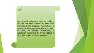 Les mammifères sont une classe de vertébrés
qui ont une large gamme de adaptations
l'environnement terrestre. mammifères se
caractérisent par corps généralement couvert
de poils, les glandes mammaires, la
respiration pulmonaire, les lèvres mobiles et
de la bouche avec pourvus des dents.
 