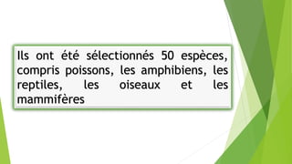 Ils ont été sélectionnés 50 espèces,
compris poissons, les amphibiens, les
reptiles, les oiseaux et les
mammifères
 