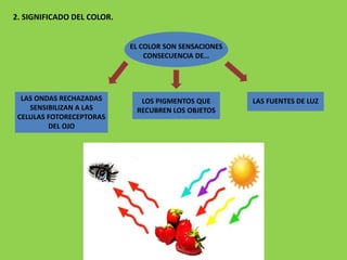 2. SIGNIFICADO DEL COLOR.
EL COLOR SON SENSACIONES
CONSECUENCIA DE…
LAS FUENTES DE LUZLOS PIGMENTOS QUE
RECUBREN LOS OBJETOS
LAS ONDAS RECHAZADAS
SENSIBILIZAN A LAS
CELULAS FOTORECEPTORAS
DEL OJO
 