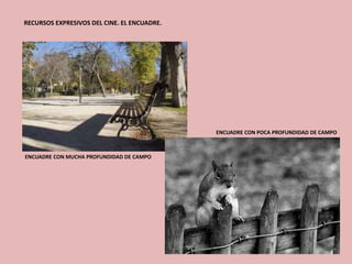 RECURSOS EXPRESIVOS DEL CINE. EL ENCUADRE.
ENCUADRE CON MUCHA PROFUNDIDAD DE CAMPO
ENCUADRE CON POCA PROFUNDIDAD DE CAMPO
 