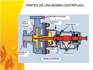 PARTES DE UNA BOMBA CENTRÍFUGA. 
 