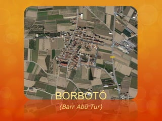 BORBOTÓ 
(Barr Abū Tur) 
 