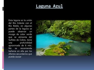 Laguna Azul

Esta laguna es la unión
del Río Celeste con el
Río Roble, en algunas
partes de la laguna se
puede observar un
musgo de color verde
que se alimenta del
Sulfato de Cobre, tiene
una        profundidad
aproximada de 6 mts.
No se recomienda
bañarse en ella por los
efectos secundarios que
pueda causar
 