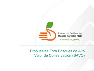 Propuestas Foro Bosques de Alto
  Valor de Conservación (BAVC)
 