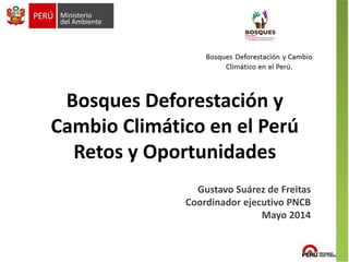 Bosques Deforestación y
Cambio Climático en el Perú
Retos y Oportunidades
Gustavo Suárez de Freitas
Coordinador ejecutivo PNCB
Mayo 2014
 