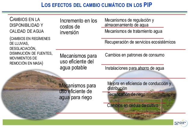 Valor del pip en forex