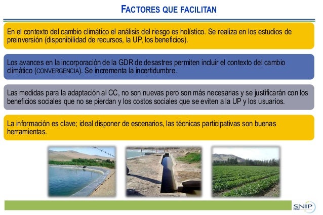 Valor del pip en forex