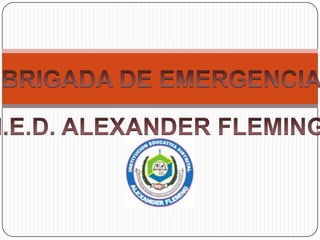 BRIGADA DE EMERGENCIA I.E.D. ALEXANDER FLEMING 