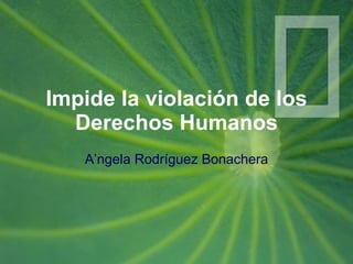 Impide la violación de los Derechos Humanos A’ngela Rodríguez Bonachera 