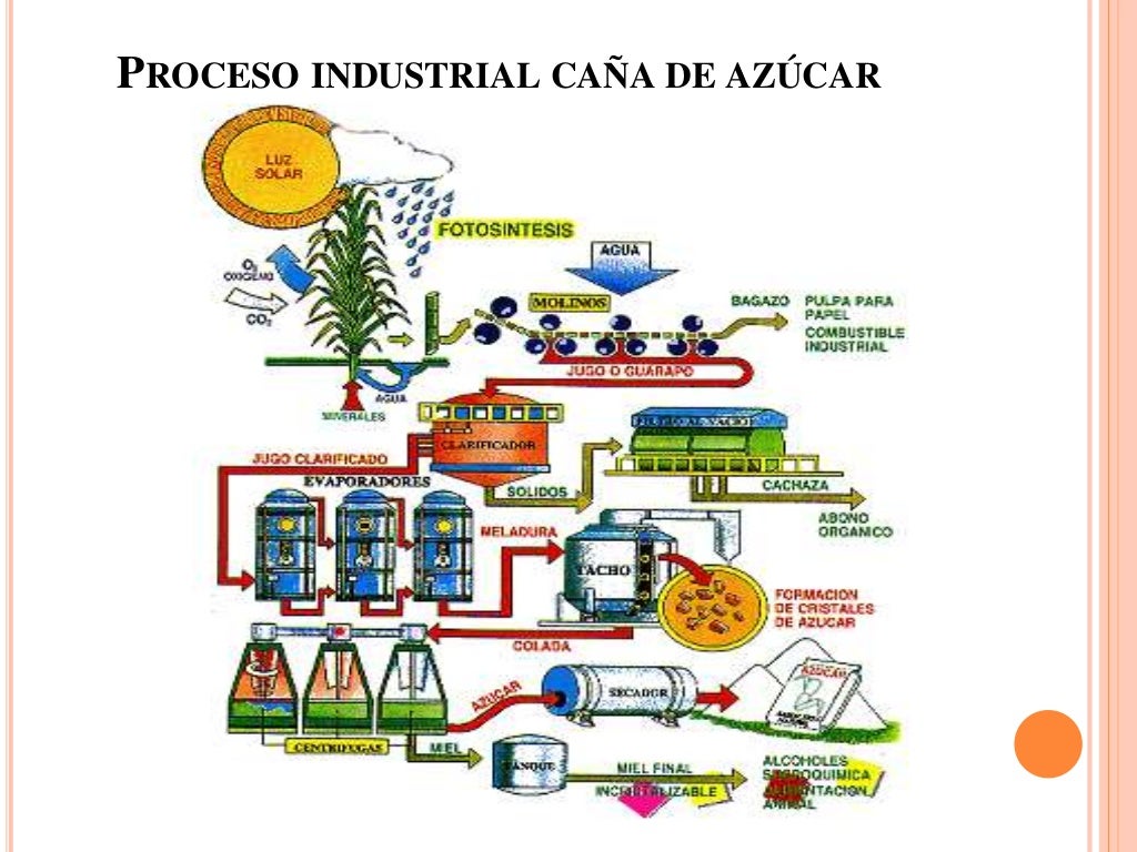 Proceso Industrial Caña de Azucar en Colombia