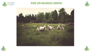 POR UN MUNDO LIMPIO
 