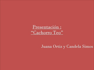 Presentación :
“Cachorro Teo”
Juana Ortiz y Candela Simos
 