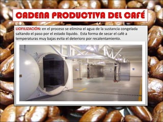 LIOFILIZACIÓN: en el proceso se elimina el agua de la sustancia congelada
saltando el paso por el estado líquido. Esta forma de secar el café a
temperaturas muy bajas evita el deterioro por recalentamiento.